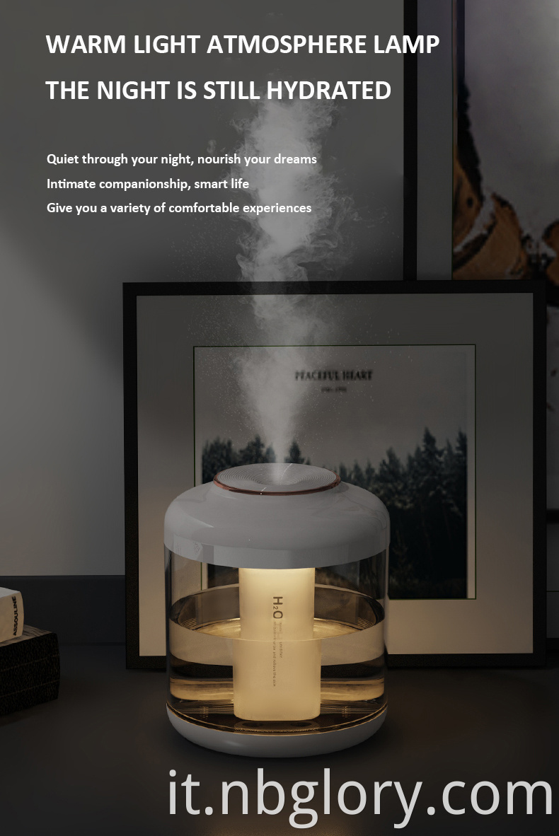 humidifier diffuser